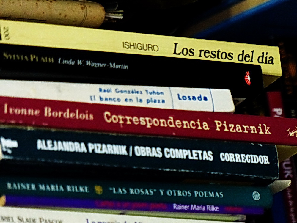 Libros en una biblioteca  de AMILCAR MORETTI. 